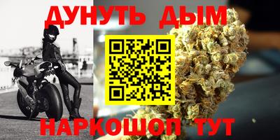 шишки Аргун