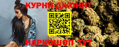 шишки Аргун