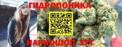 шишки Аргун