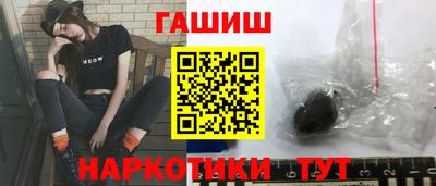 шишки Аргун