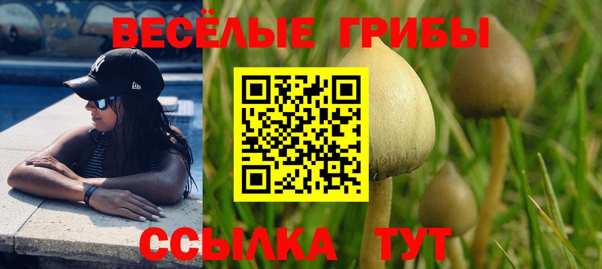 Балахна  Галлюциногенные грибы мухоморы  Вход с VPN  Псилоцибиновые грибы MAGIC MUSHROOMS 